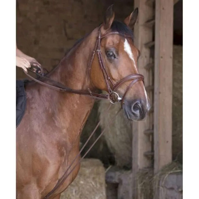 Rnes allemande cuir/corde - Norton Pro - havane - cheval (full ) Rduction