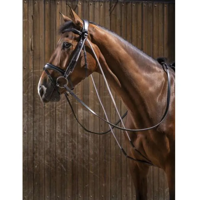 Chambon – Eric Thomas Pro – noir – cheval (full ) Seulement Aujourdhui