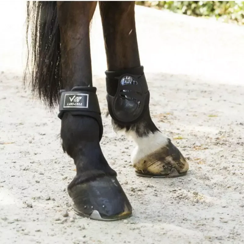 Protge-boulets cheval V22 Velcro Lami-Cell - M - Noir Commander Vite