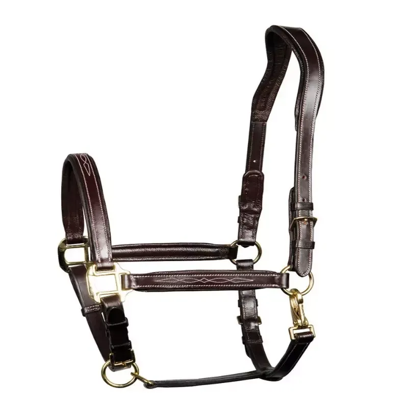 Licol cuir double Supreme Harry's Horse - Cob/pur-sang - Noir Jusqu puisement Des Stocks