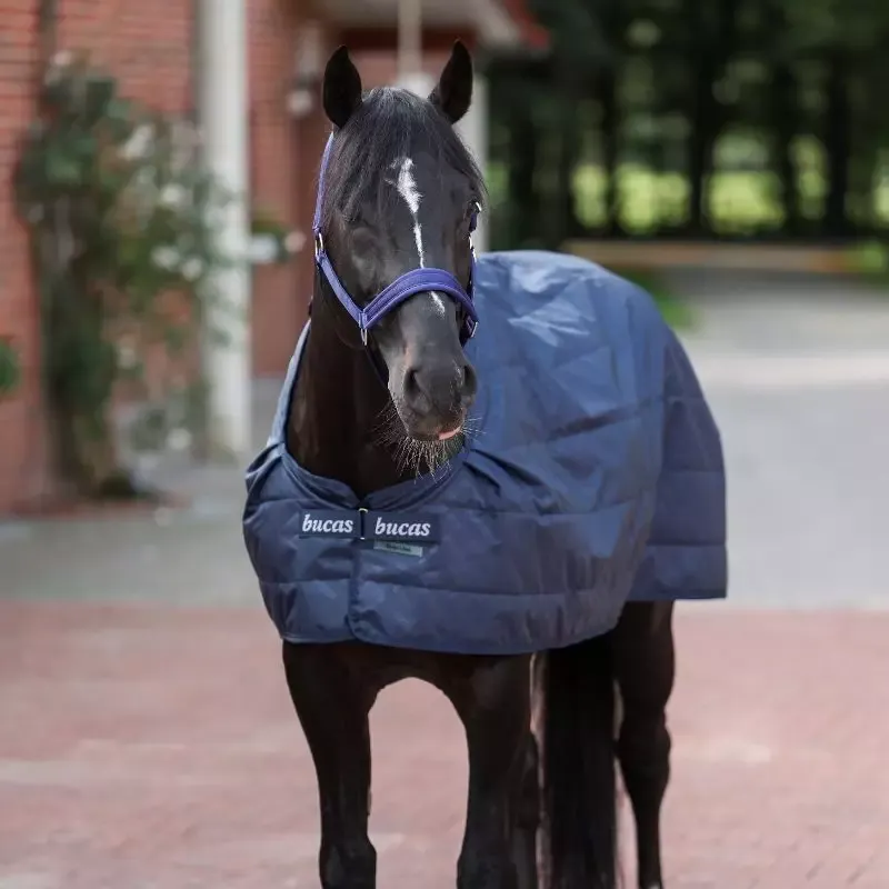Sous-couverture cheval liner standard 300g Bucas - 155 cm - Marine Nouveaut