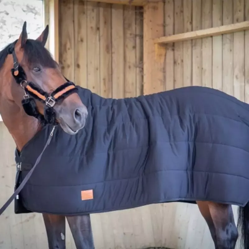 Couverture cheval 200g Underblanket Paddock Sports - 130 cm - Noir Expdi Aujourdhui