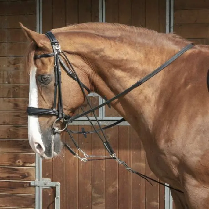 Certifi Gogue poulie - Norton Pro - noir - poney (pony )