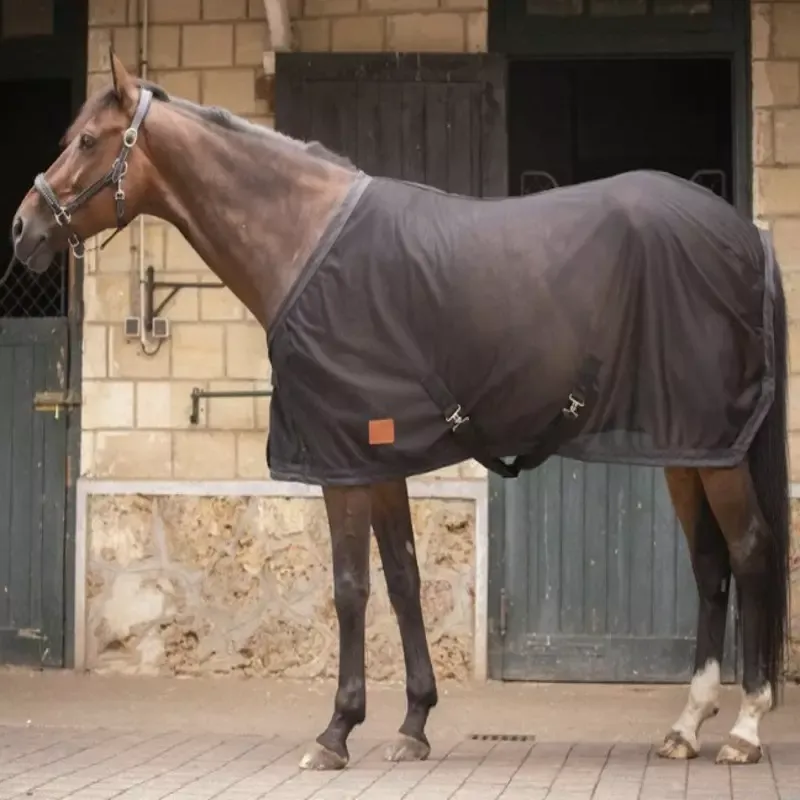 Chemise schante cheval Mesh Paddock Sports - 140 cm - Noir Affaire Saisir