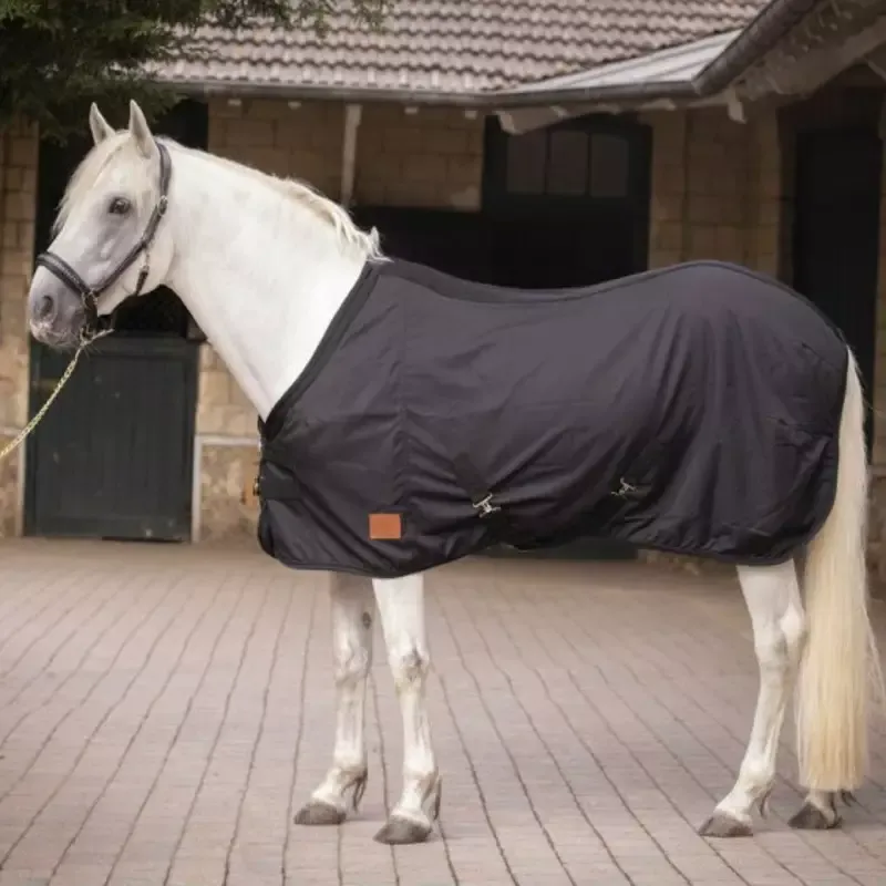 Chemise curie cheval Light Mesh Paddock Sports - 155 cm - Noir Top Vente