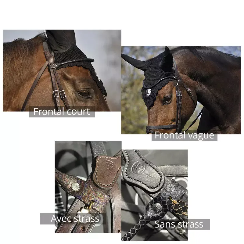 Expdi Aujourdhui Frontal cheval Classique IHWT - Noir