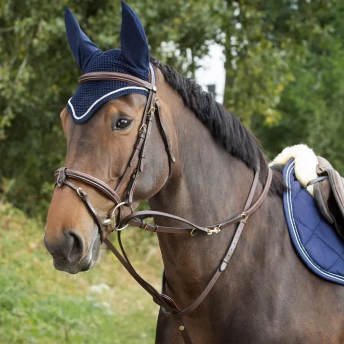 Enrnement Howlett Thiedeman - HFI - noir - poney (pony ) Expdition Rapide