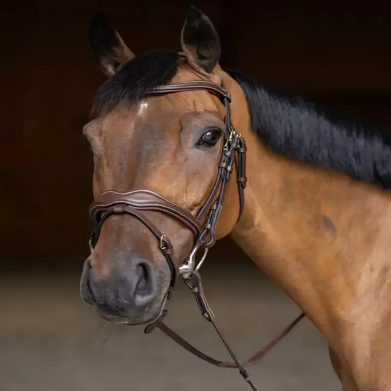 Bridon cheval cuir Wavy HFI Master - Cheval - Brun Promotion Saisonnire