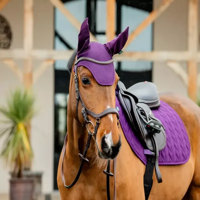 Bonnet anti-mouche cheval Amigo Ear Net Horseware - Cob / Poney - Noir Remise