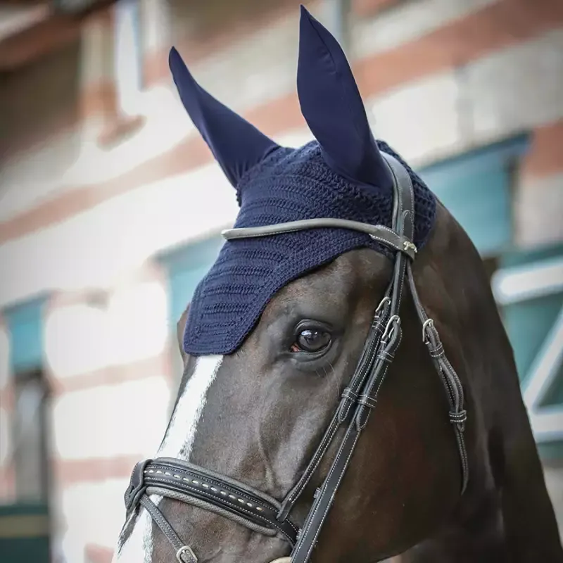 Pas Cher Bonnet anti-mouche cheval Pro Coton Paddock Sports - Cheval - Noir