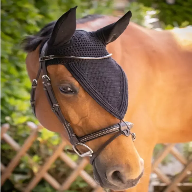 Marque Bonnet anti-mouche cheval long Pro Coton Paddock Sports - Cob/pur-sang - Noir