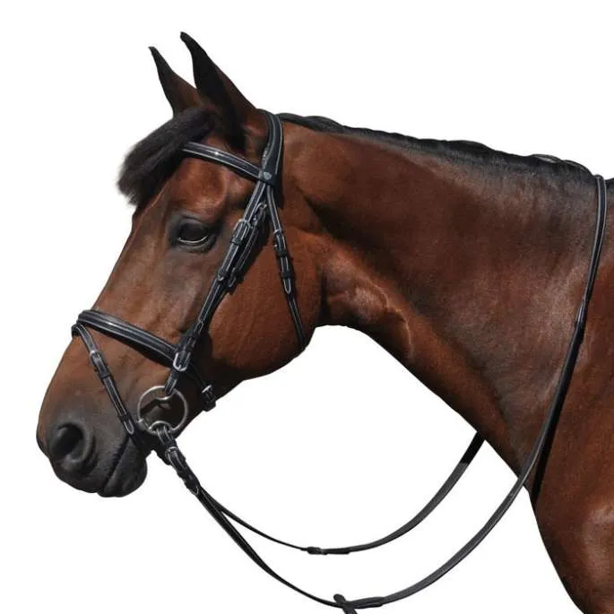 Bridon Helsinki combin - Flags&Cup - marron - cheval (full ) Authentique