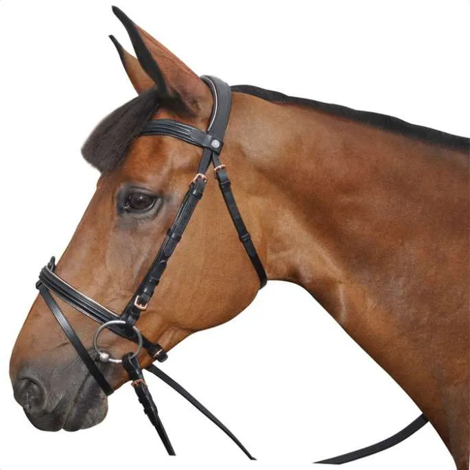 Livraison Express Bridon rose gold - Canter - marron - poney (pony )