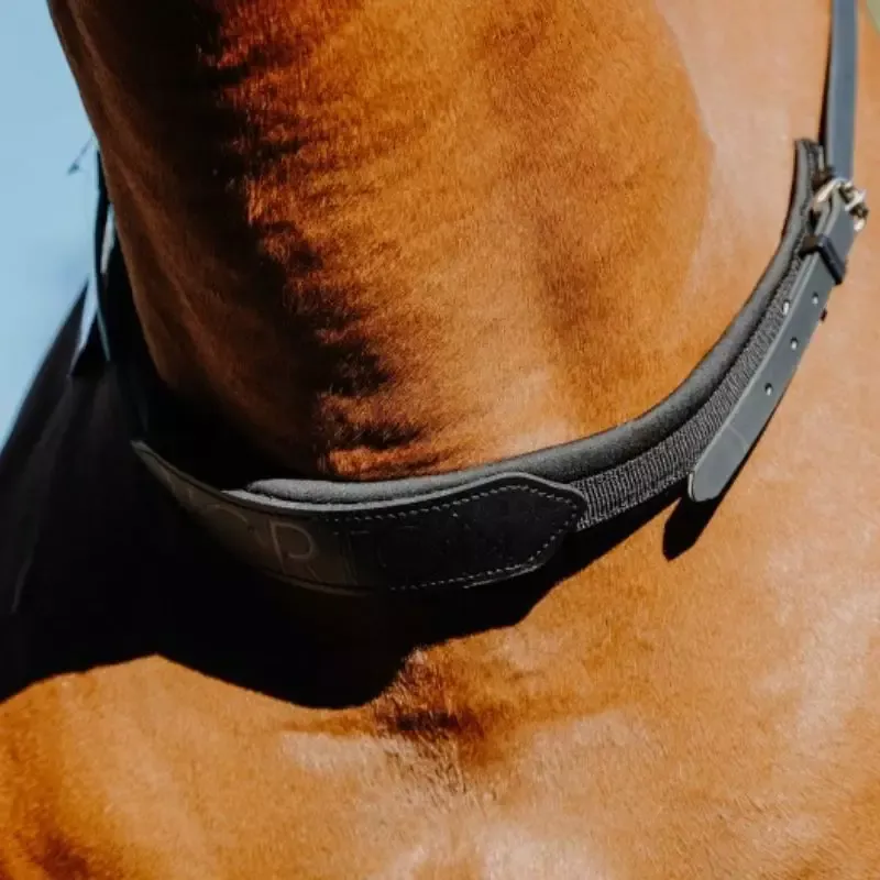 Collier de monte cru cheval - Noir Haute Qualit