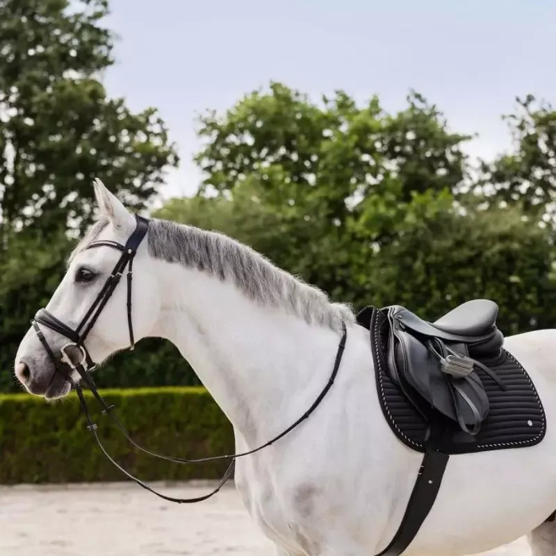 Tapis cheval avec amortisseur Riga Waldhausen - Cheval Dressage - Noir Meilleur Prix