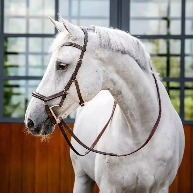 Bridon Micklem Rambo Competition Deluxe Horseware - Grand cheval -L - Noir Usine Directe
