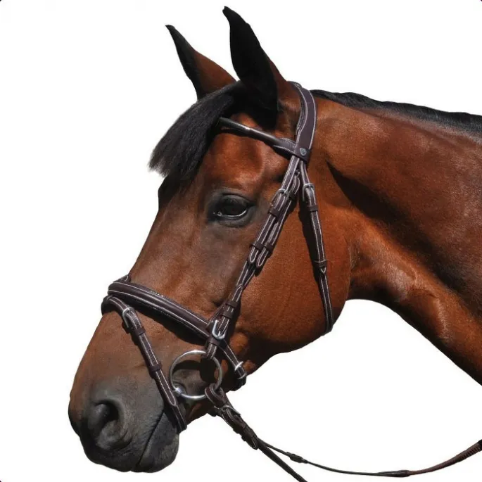 Authentique Bridon Doha - Flags&Cup - marron - pur-sang (cob )