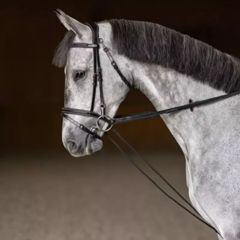 Offre Du Jour Rnes allemandes cheval cuir corde HFI Master - Cheval - Brun