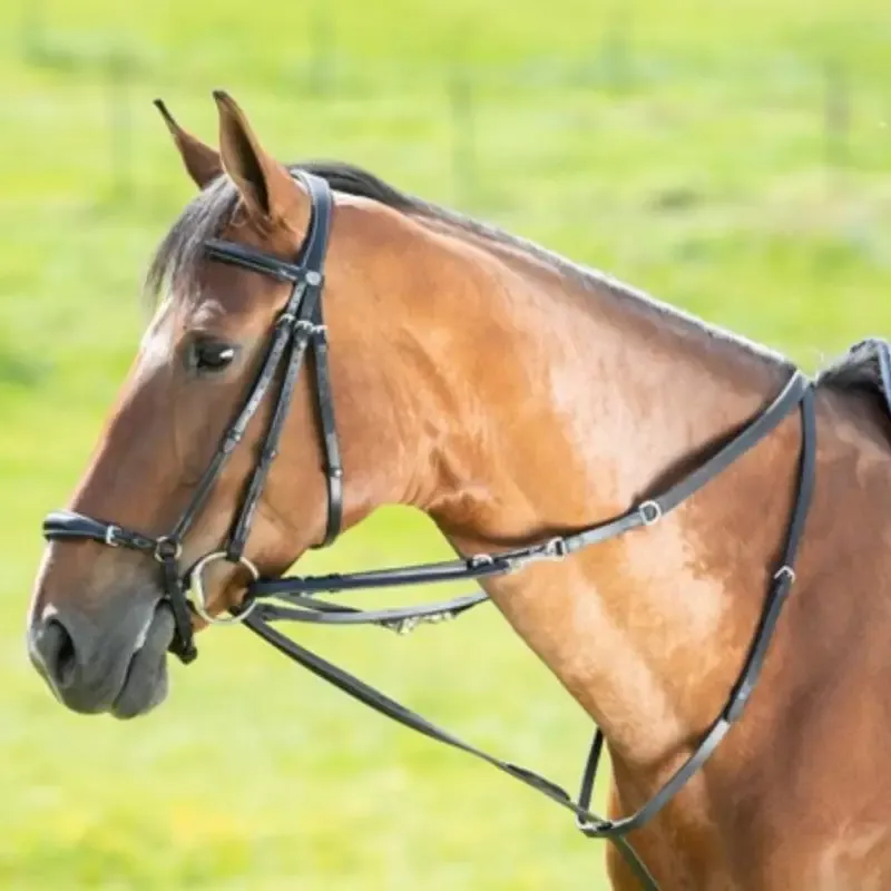 Offre Exclusive Enrnement cheval Thiedeman avec rnes anneaux HFI Master - Cheval - Brun