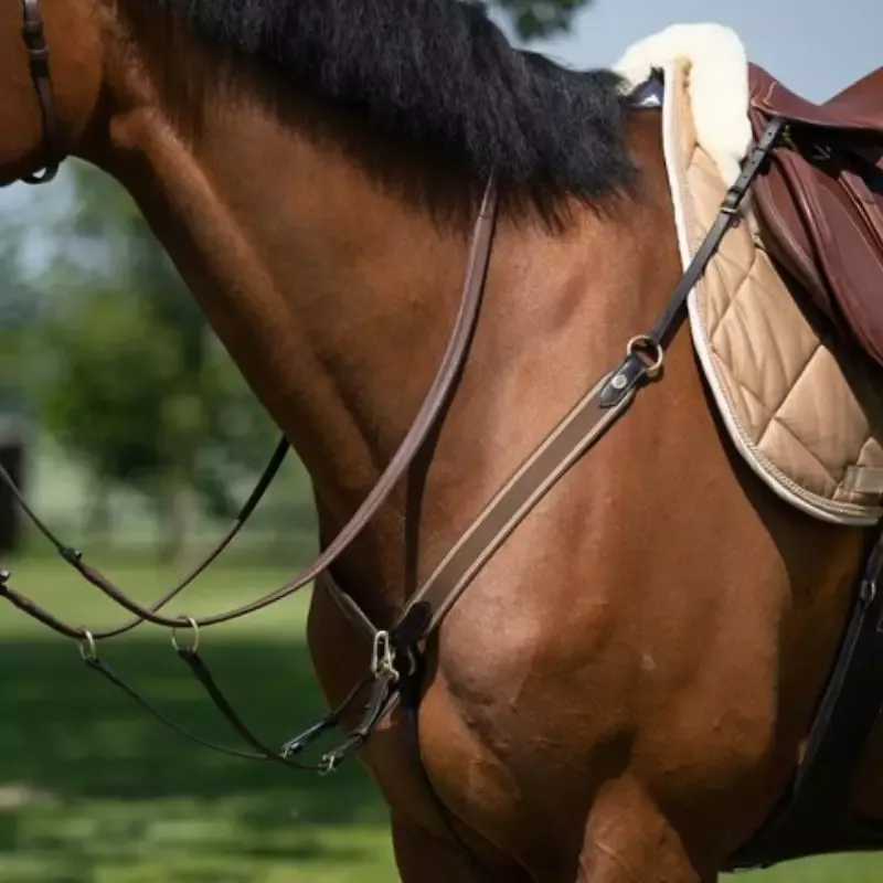 Commander Vite Collier de chasse cheval lastique et martingale HFI Master - Poney - Brun/brun