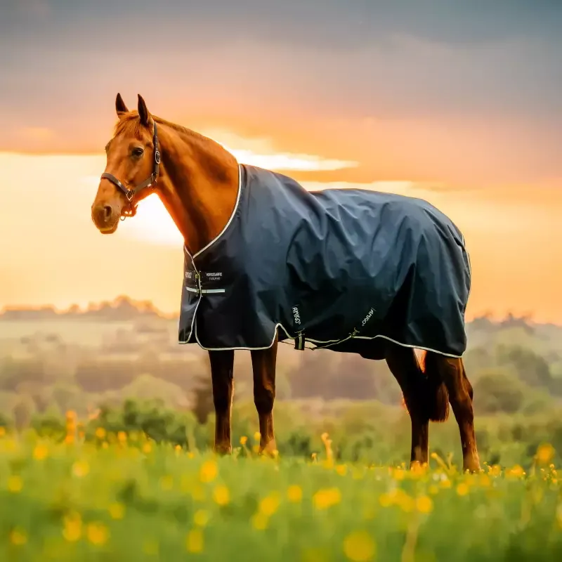 Livraison Express Couverture extrieur poney Amigo Ripstop 50g 900 deniers Horseware - 90/4.6/54 - Marine