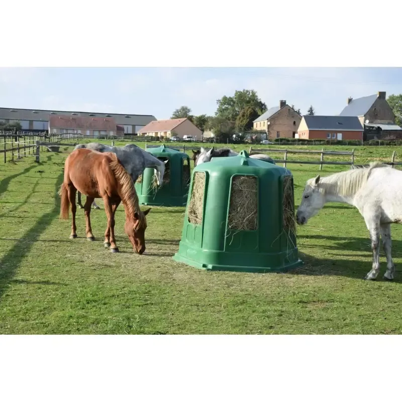 Rtelier cheval Petit modle rsine avec fond La Ge Offre Du Jour