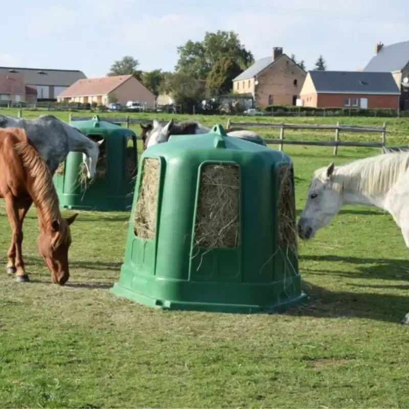 Rtelier de prairie Medium avec fond cheval rsine La Ge Commander Maintenant