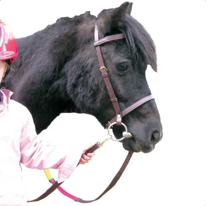 Nouveaut Bridon ducatif shetland - Canter - marron - shetland