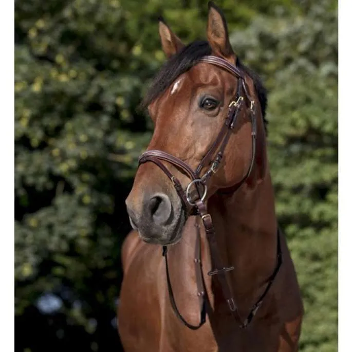Bridon Surpiqu – Norton Club – havane – pur-sang (cob ) Nouvel Arrivage