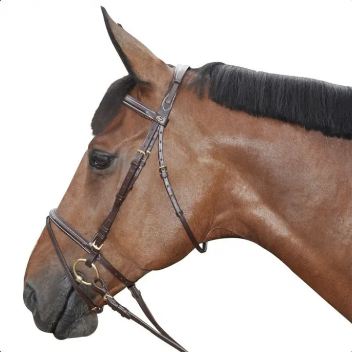 Soldes Bridon surpiqu combin - Canter - marron - cheval (full )