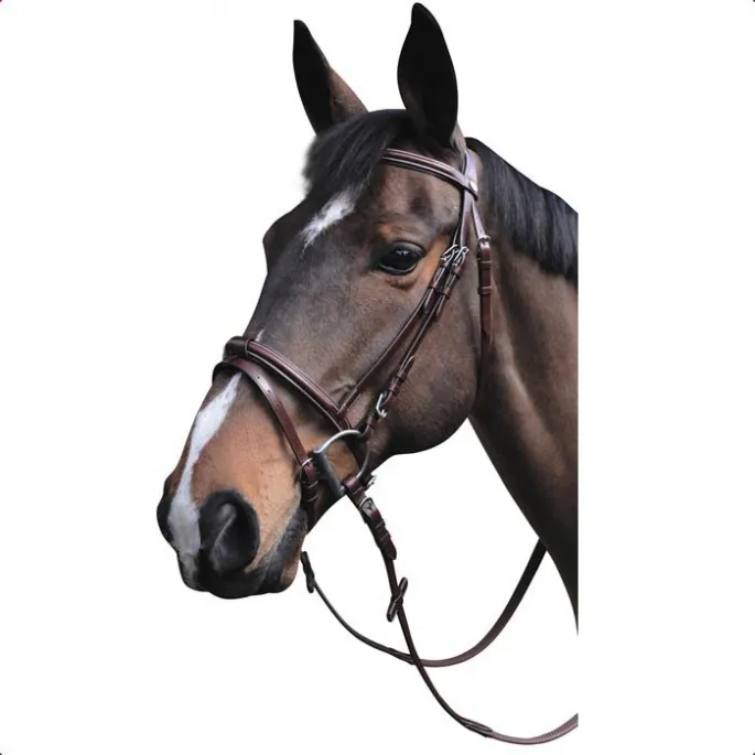 Bridon Austin combin - Lexington - marron - cheval (full ) Usine Directe