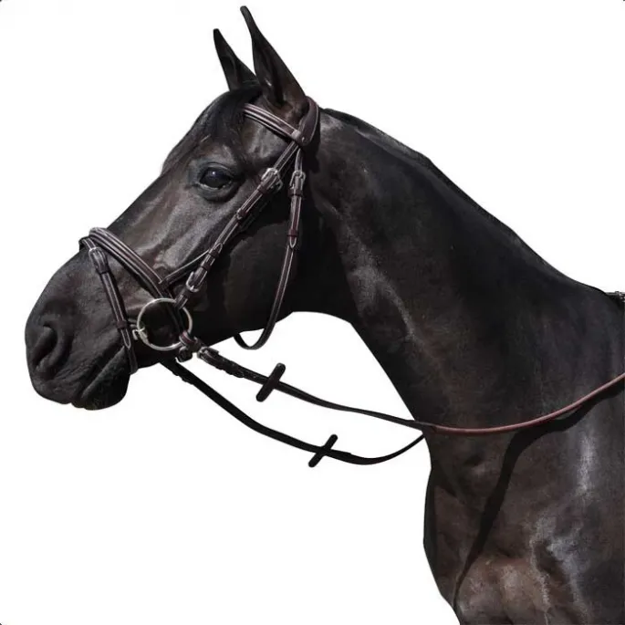 Achetez Aujourdhui Bridon Wellington combin - Flags&Cup - marron - cheval (full )