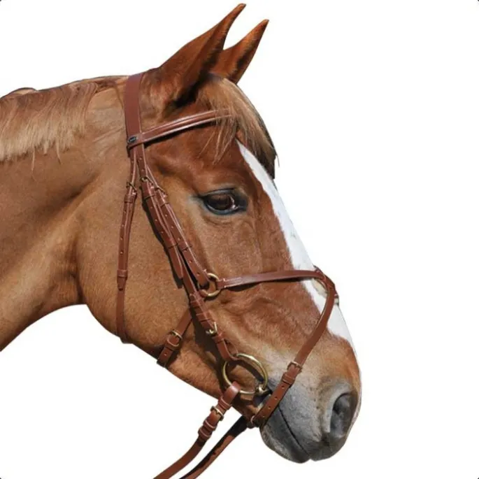 Prix Cass Bridon 1/2 rond muserolle croise Poney - Chetak - marron - poney (pony )