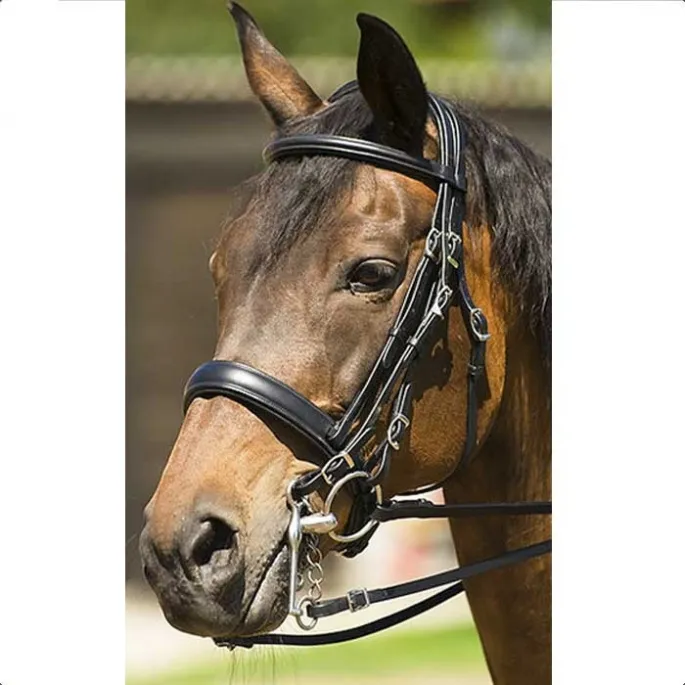 Bon Plan Bride N Design – Riding World – noir – pur-sang (cob )