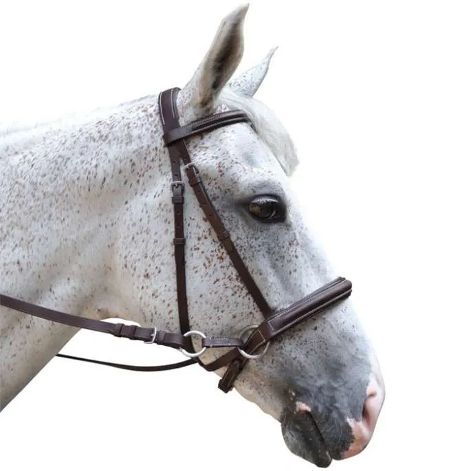 Commander Maintenant Bridon Bitless - Canter - marron - cheval (full )
