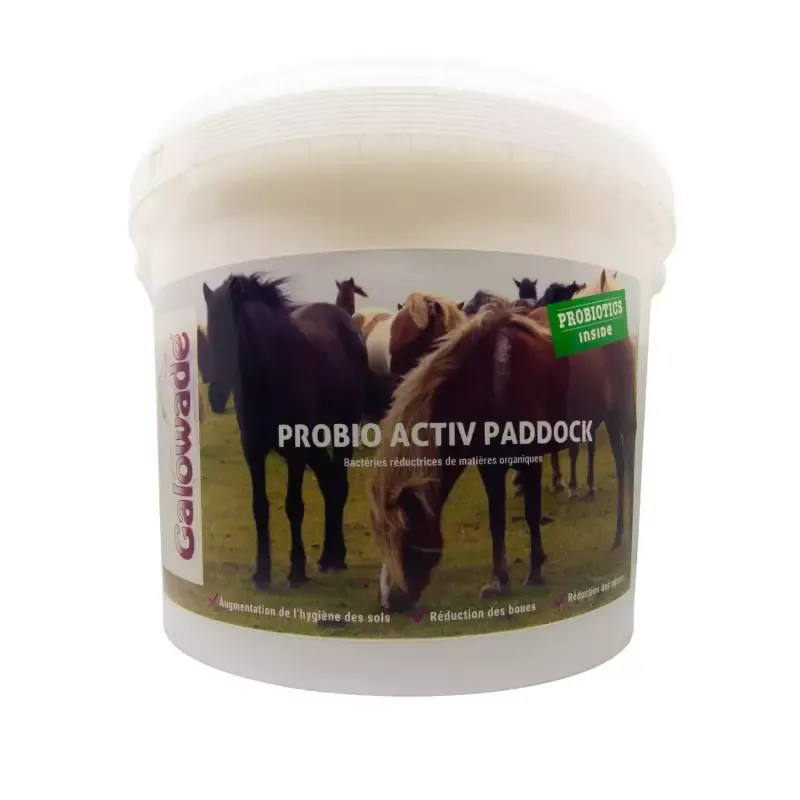 Probio Activ Paddock Galowade – Surpturage cheval Petit Prix