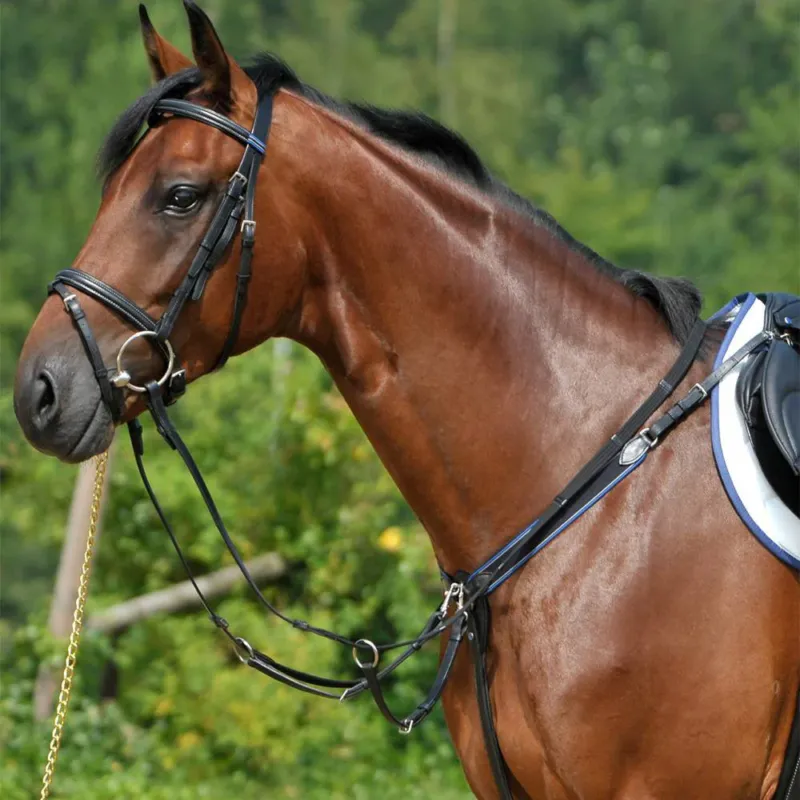 Usine Directe Breastplates Stbben Elastic Breastplate - Full / Black