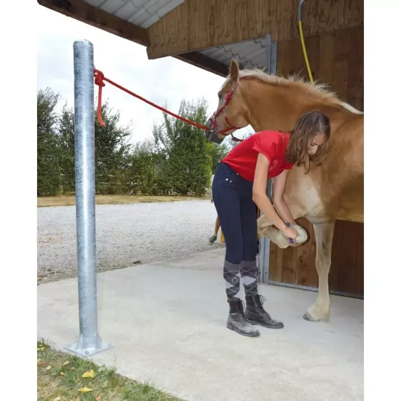 Poteau d'attache cheval Offre Exclusive