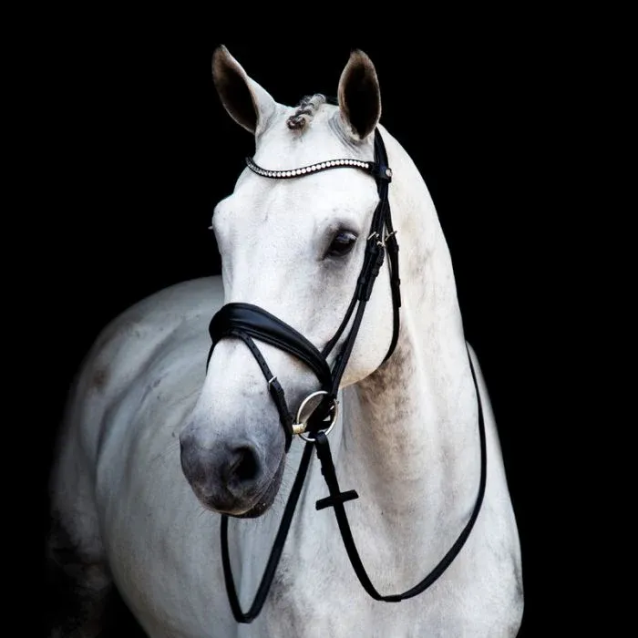 Offre Du Jour Cabezada Stbben Dressage Bridle 2815 Switch with Magic Tack and Slide&Lock - Cob / Black patent/White