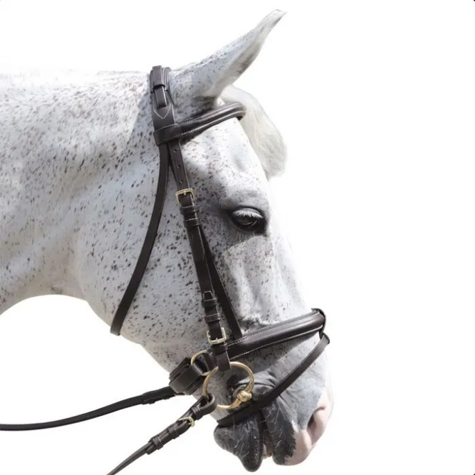Bridon euro pull back - Canter - noir - grand cheval Meilleure Vente
