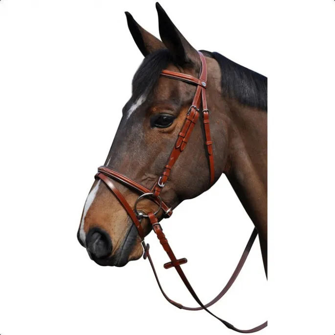 Expdition Rapide Bridon Denver Combin - Lexington - noir - pur-sang (cob )