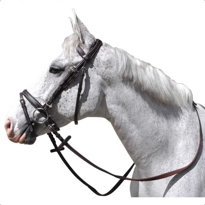 Bridon Gteborg plat - Flags&Cup - noir - cheval (full ) Pas Cher
