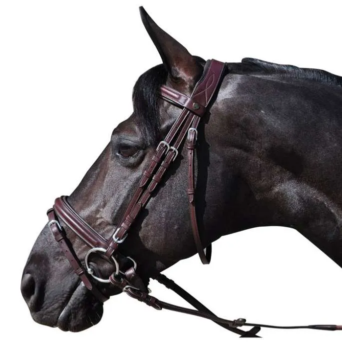 Jusqu puisement Des Stocks Bridon Hickstead pull-back - Flags&Cup - marron - pur-sang (cob )