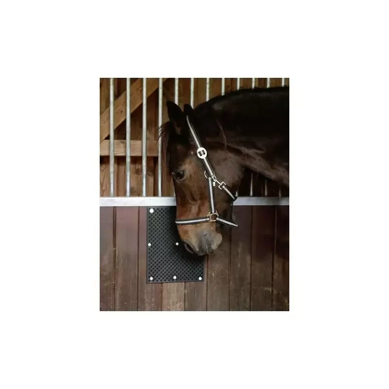 Plaque de grattage Stable Pro Nouvel Arrivage