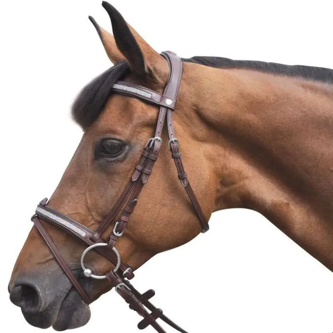 Paiement Scuris Bridon Kitsi combin - Flags&Cup - marron - cheval (full )
