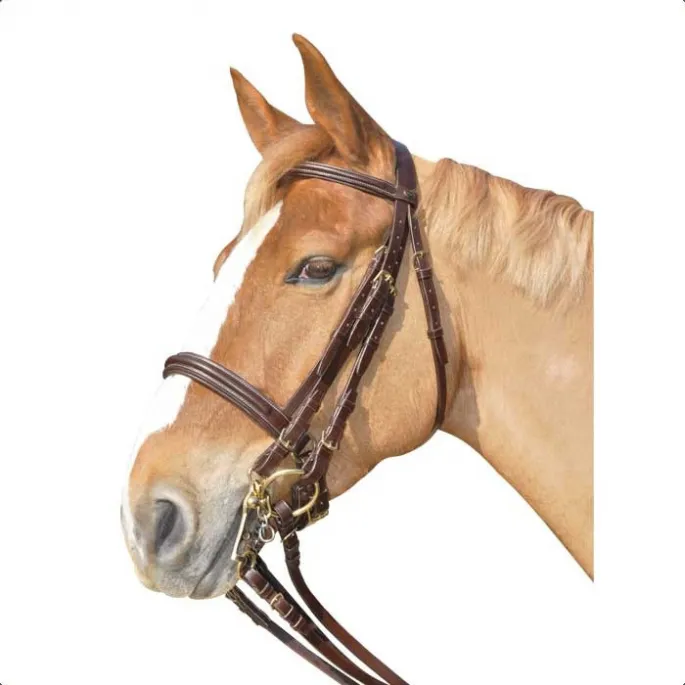 Bride Euro – Canter – noir – cheval (full ) Petit Prix
