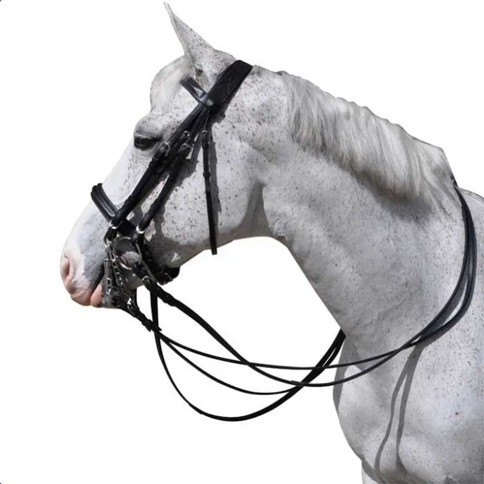 Commander Maintenant Bride Hagen pull-back - Flags&Cup - noir - pur-sang (cob )