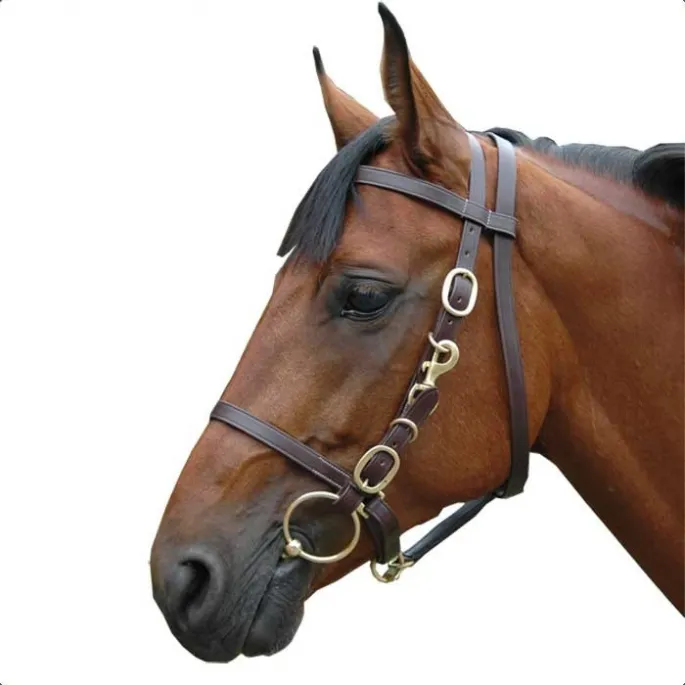 Super Prix Bridon licol large - Canter - marron - cheval (full )