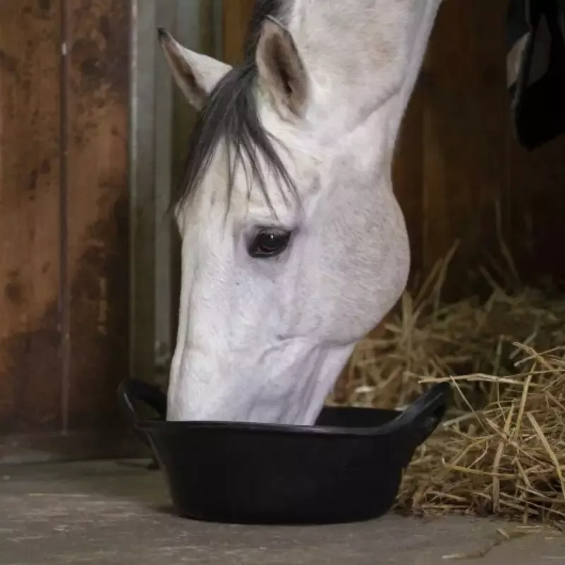 Mangeoire caoutchouc 12 litres Stable Pro Offre Du Jour