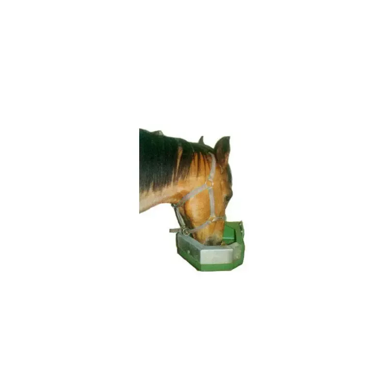 Promotion Protection galva mangeoire angle/droite 21 L La Ge
